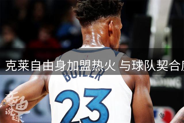 克莱自由身加盟热火 与球队契合度极高